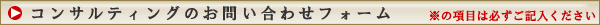 �R���T���e�B���O�̂��ē�